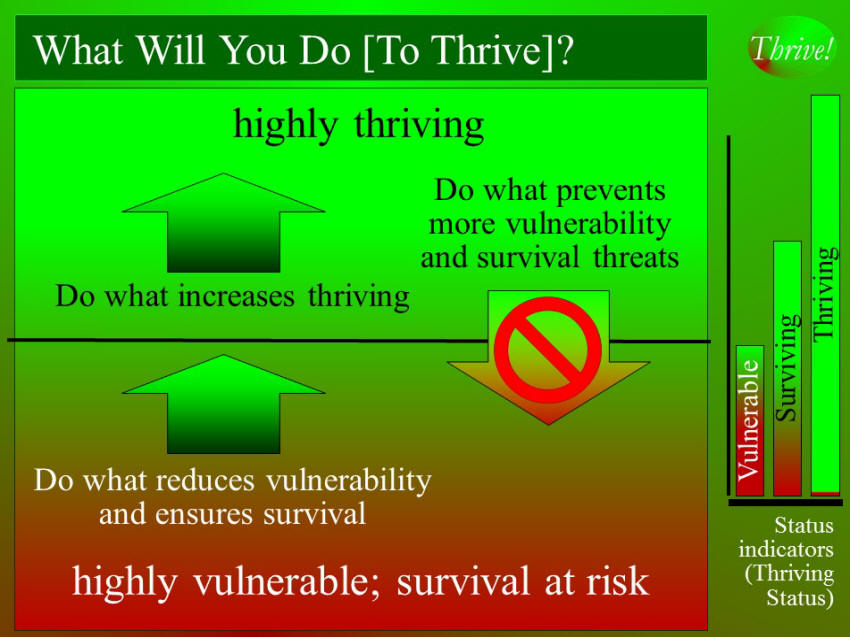 What will you do - strategy